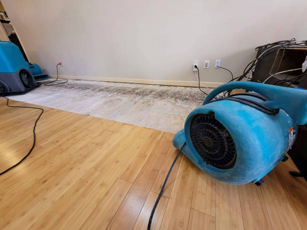 Professional Structural Drying technician working in Ortonville, MN